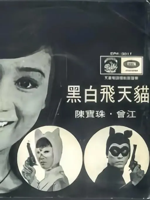 黑白飞天猫.webp