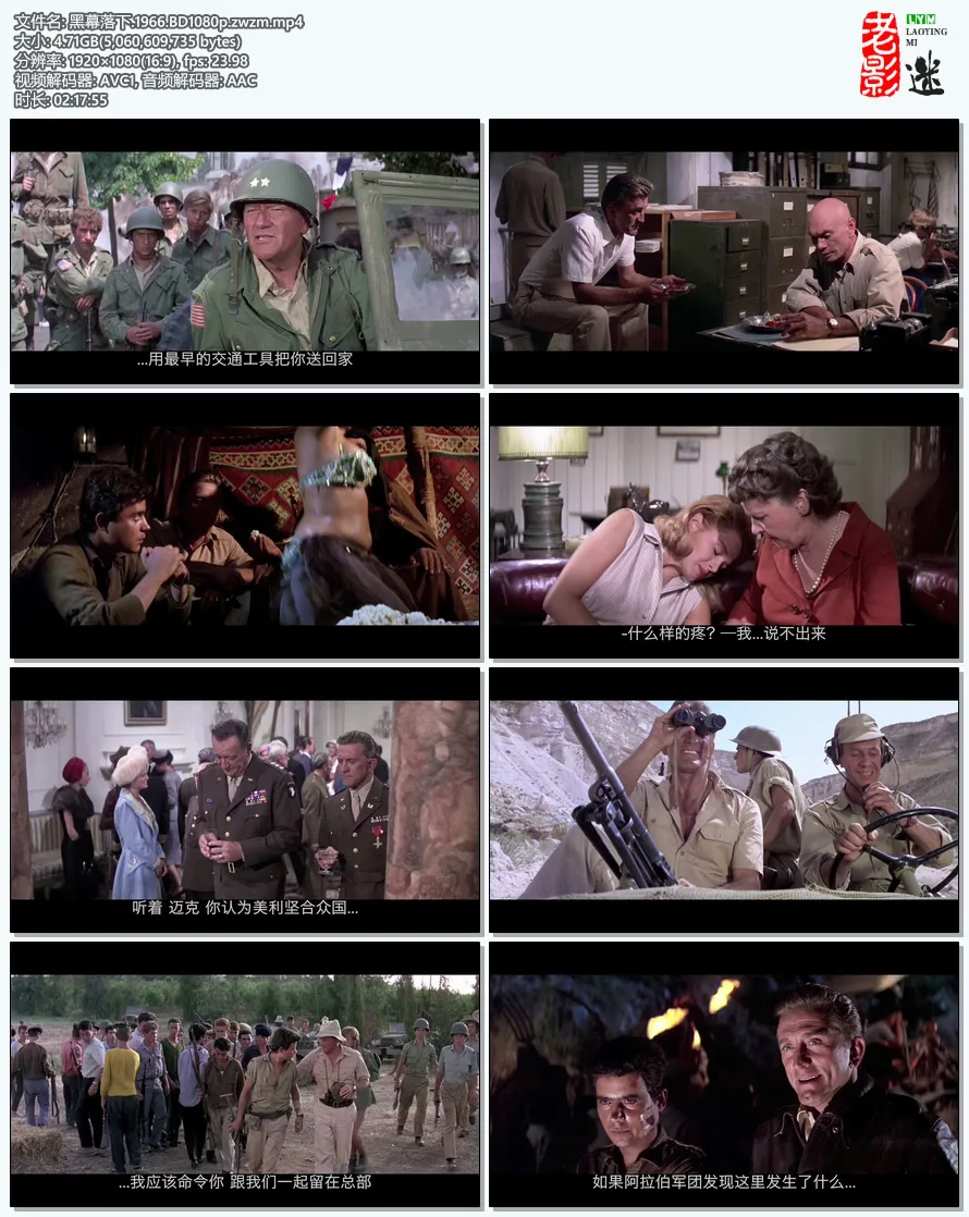 黑幕落下.1966.BD1080p.webp
