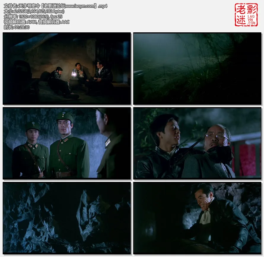 天字号密令.webp