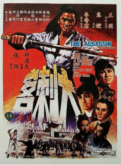 大刺客的电影海报.webp