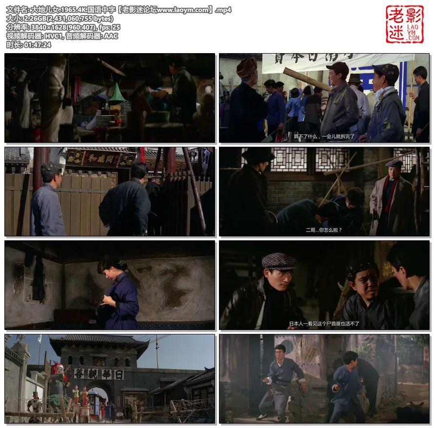 大地儿女.1965.4K.国语中字视频截图.webp