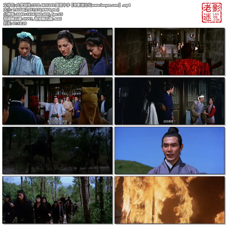 大罗剑侠.1970.4K.H265.国语中字.视频截图.webp