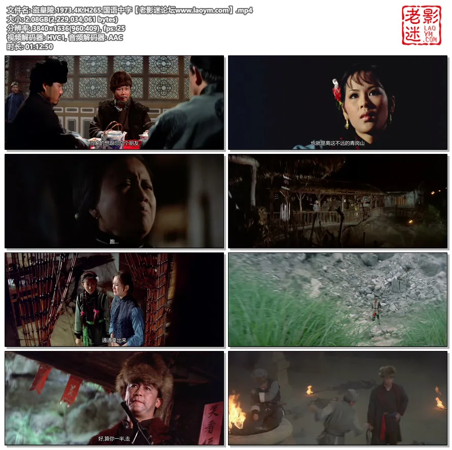 盗皇陵.1973.4K.H265.国语中字.视频截图.webp