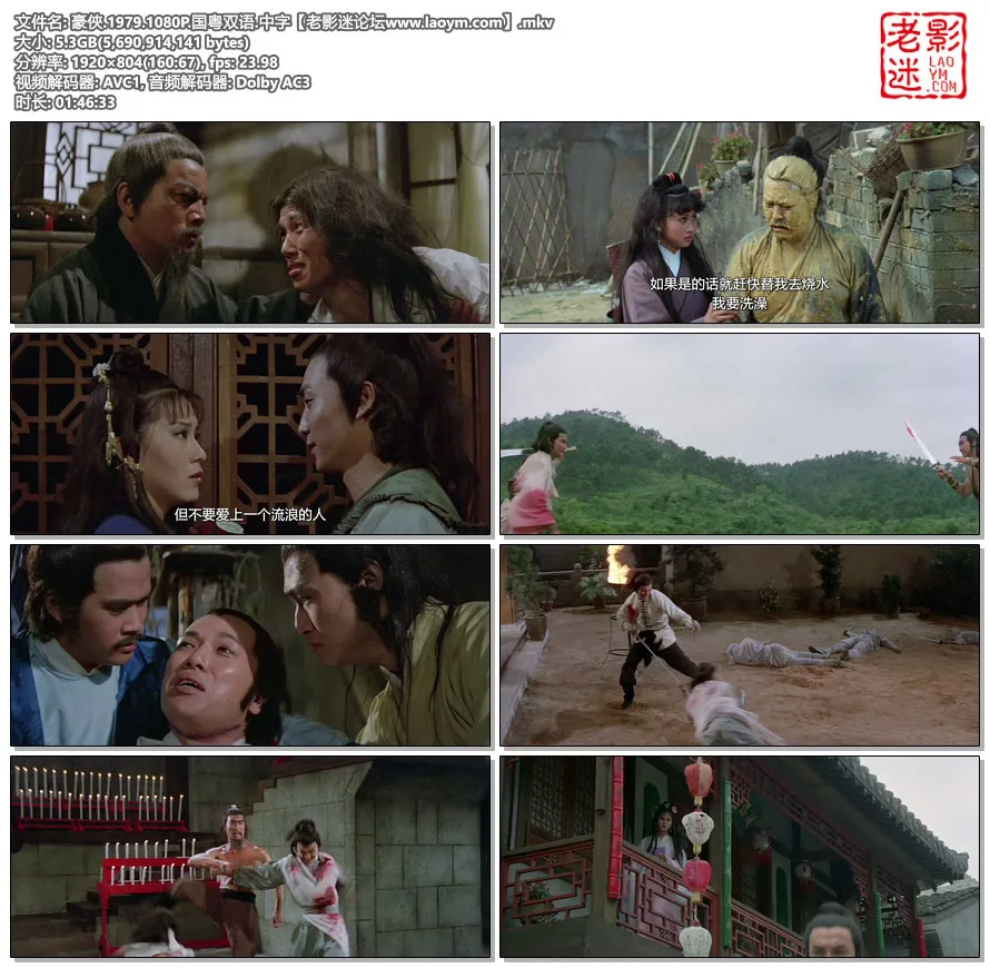 豪俠.1979.1080P.国粤双语.中字【老影迷论坛www.laoym.com】.mkv.webp