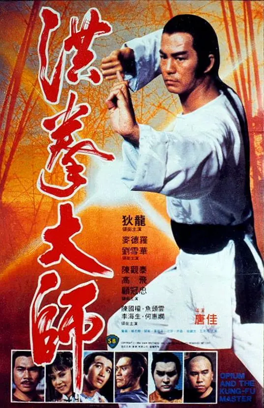 洪拳大师.webp