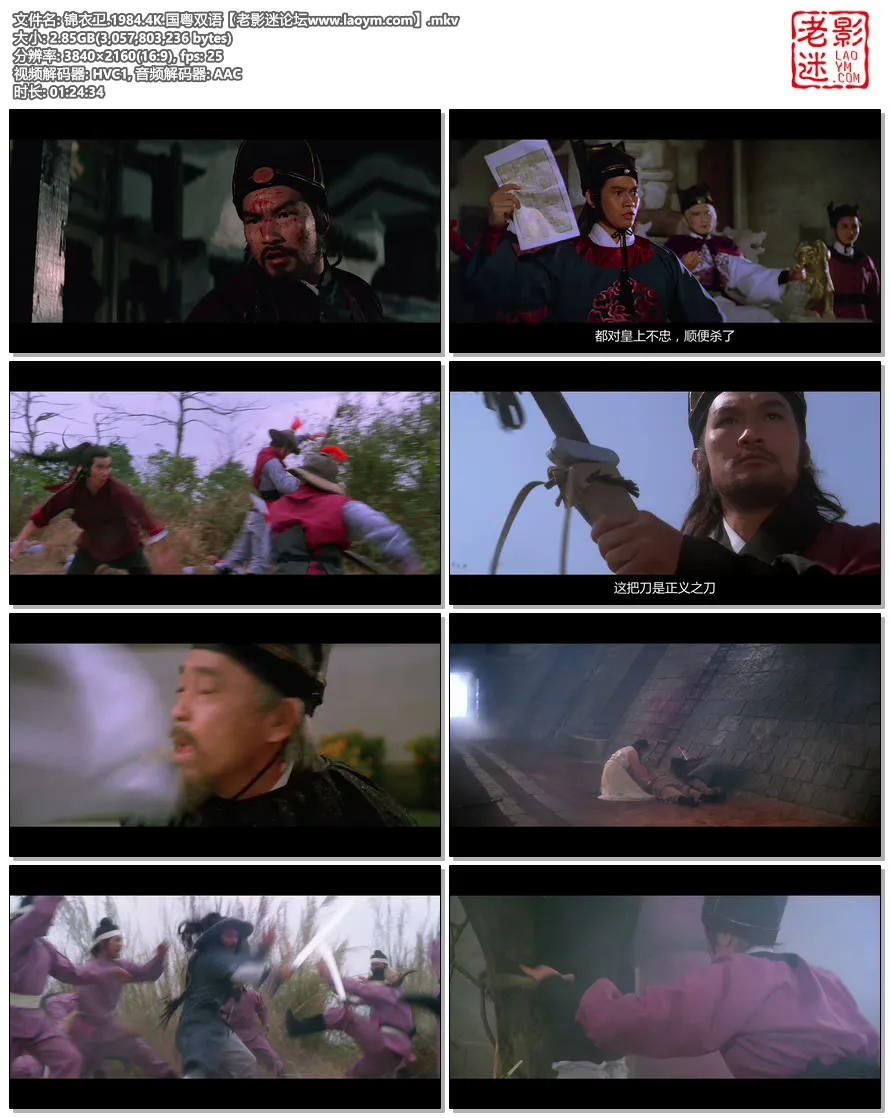 锦衣卫.1984.4K.国粤双语【老影迷论坛www.laoym.com】.mkv.webp