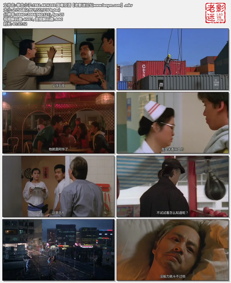 拳击小子.1982.4K.H265.国粤双语【老影迷论坛www.laoym.com】.mkv.webp