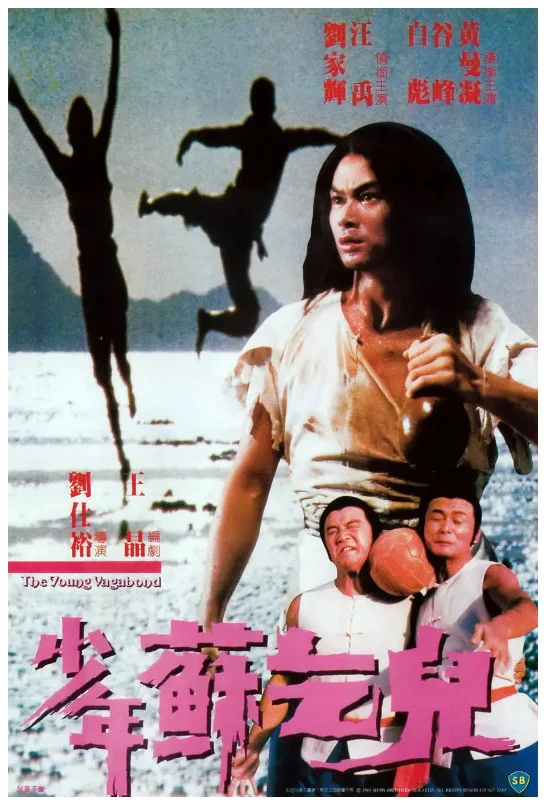 少年苏乞儿的电影海报.webp