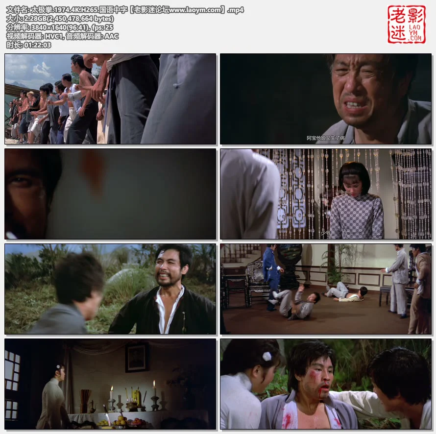 太极拳.1974.4K.H265.国语中字.视频截图.webp
