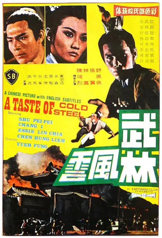 武林风云的电影海报.webp