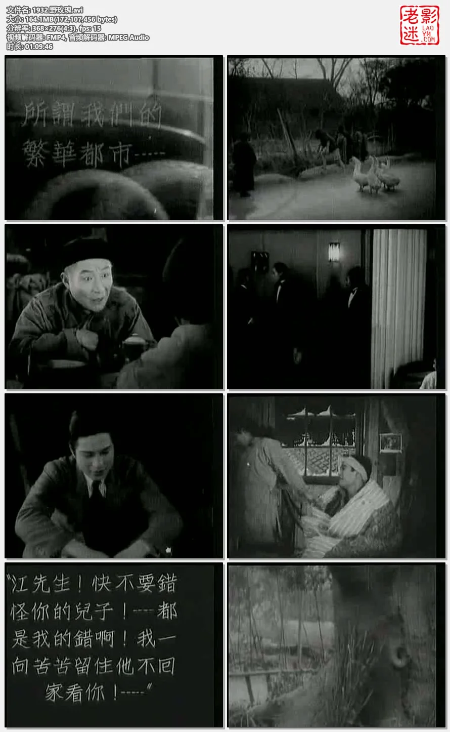 1932.野玫瑰.avi.webp