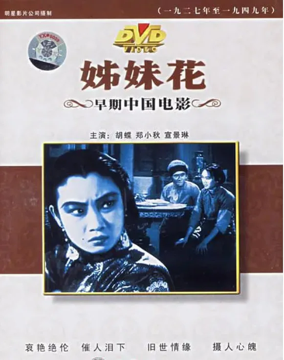 姊妹花的电影海报.webp