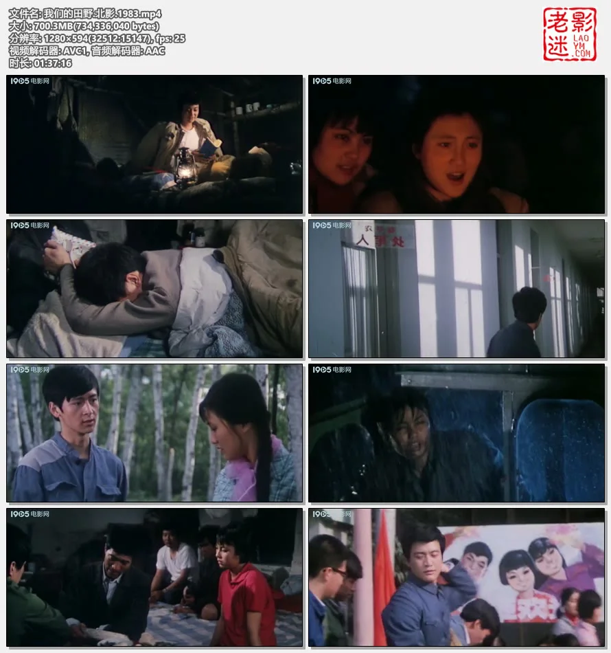 我们的田野.北影.1983的视频截图.webp