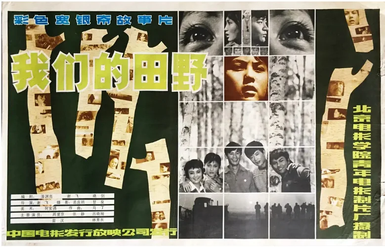 我们的田野的电影海报.webp