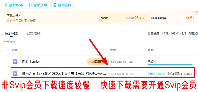 6.webp