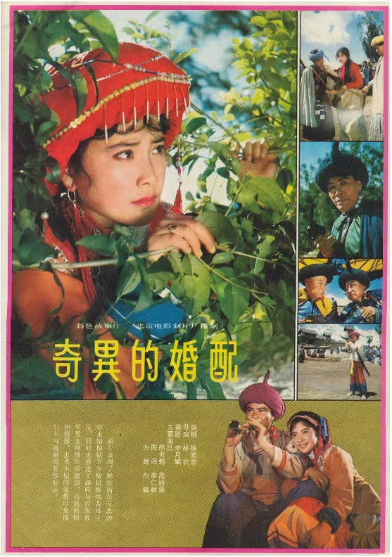奇异的婚配的电影海报.webp