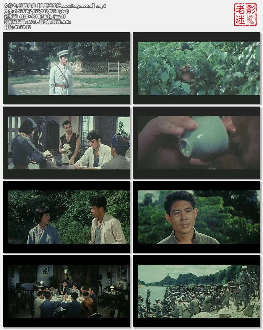 杜鹃声声.视频截图.webp