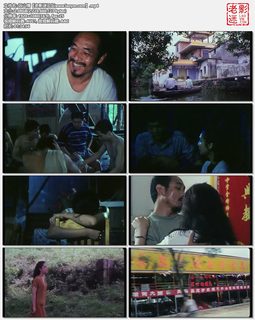 远山情.视频截图.webp