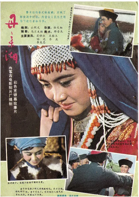 母亲湖的电影海报.webp