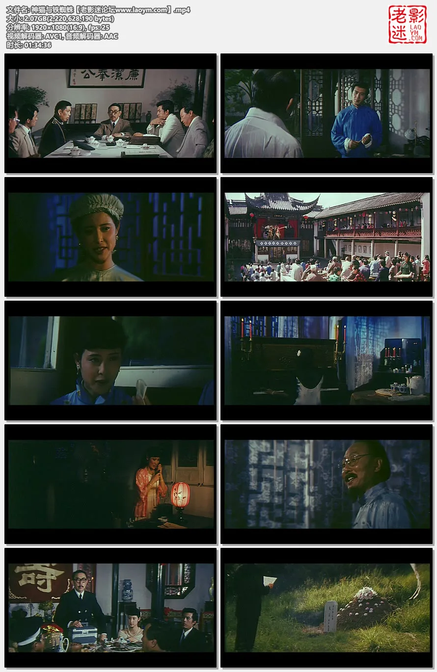 神猫与铁蜘蛛.视频截图.webp