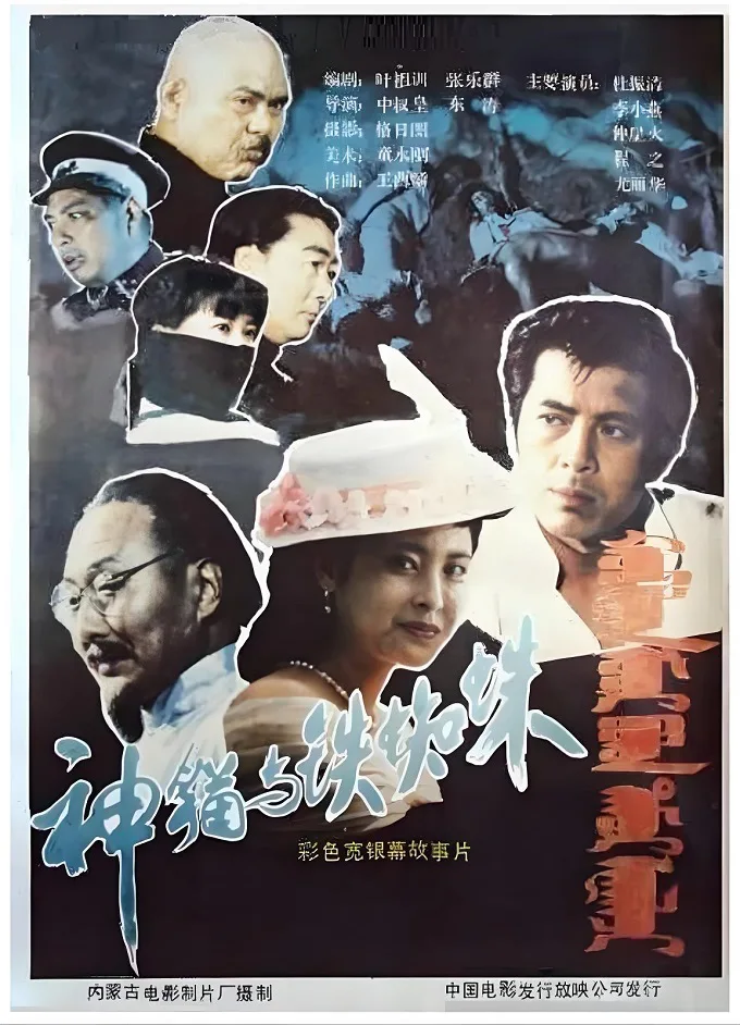 神猫与铁蜘蛛的电影海报.webp