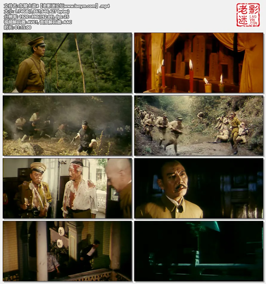 东陵大盗4.视频截图.webp