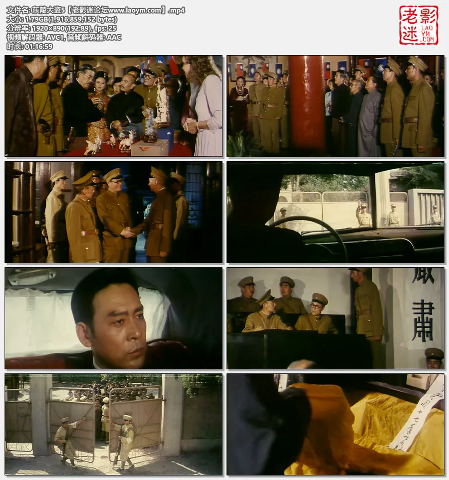东陵大盗5.视频截图.webp