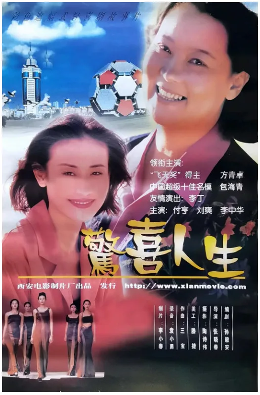 惊喜人生的电影海报.webp