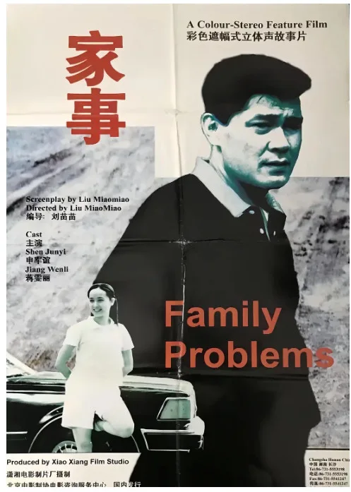 家事的电影海报.webp