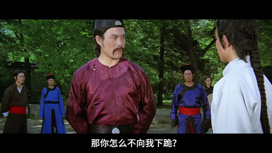 少林门的视频截图3.webp