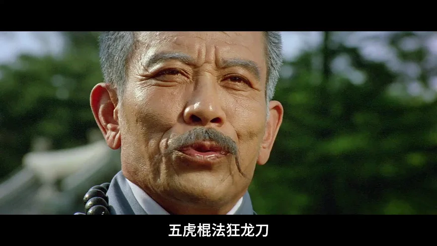 少林门的视频截图1.webp