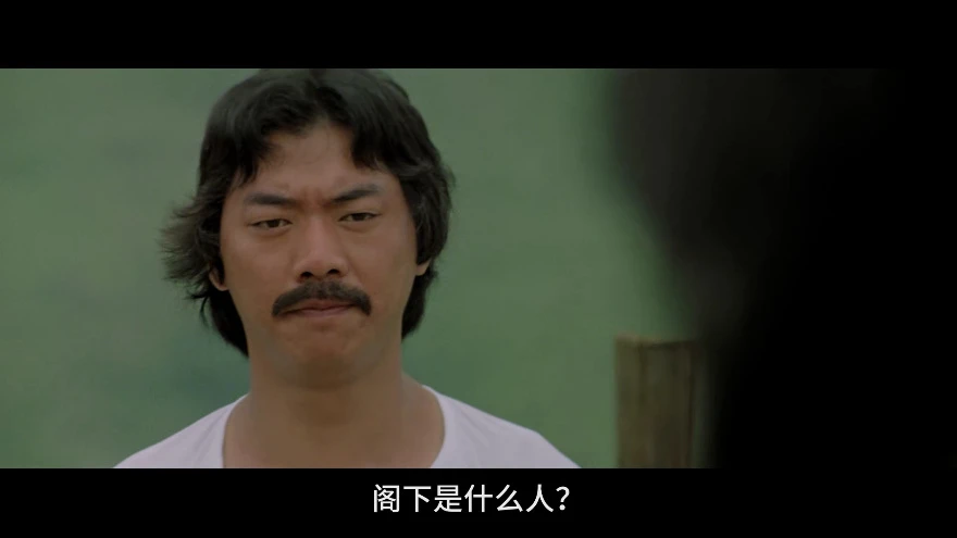 醉拳的视频截图1.webp