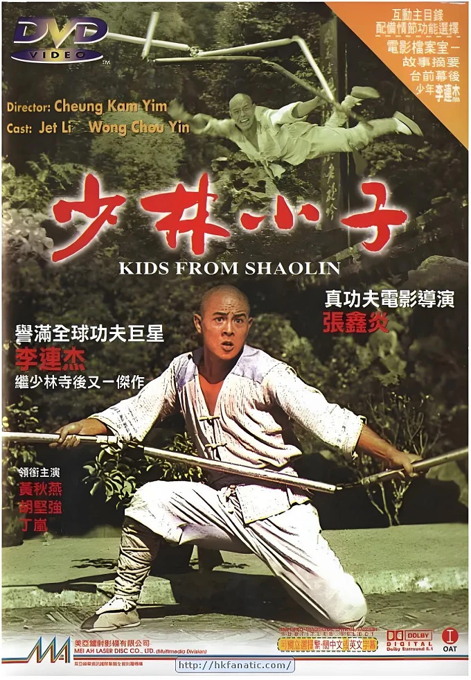 少林小子的电影海报.webp
