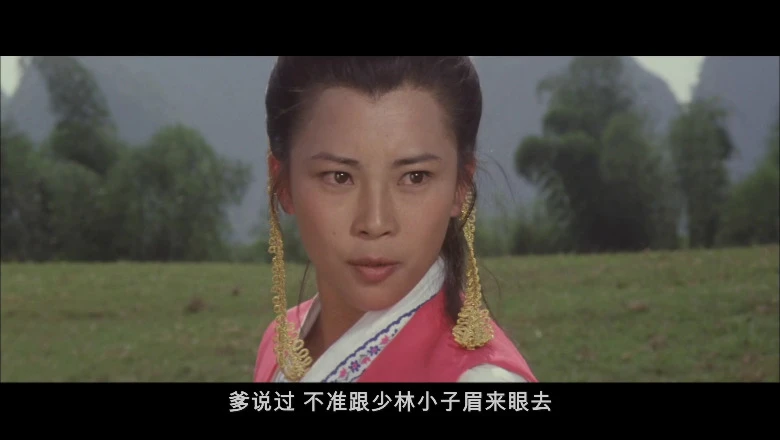 少林小子的视频截图1.webp