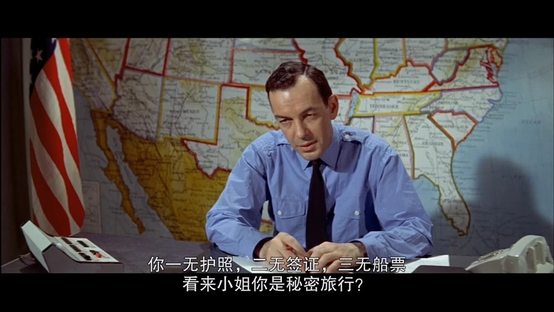 警察在纽约的视频截图3.webp