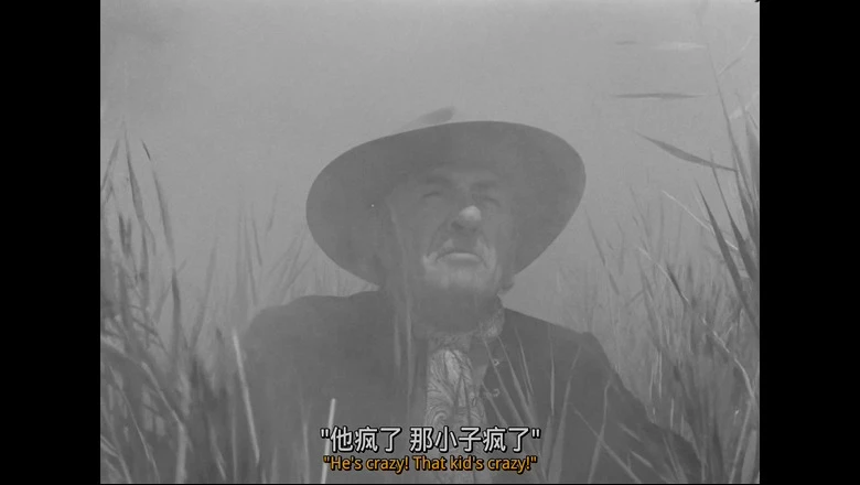 白鬃野马的视频截图4.webp
