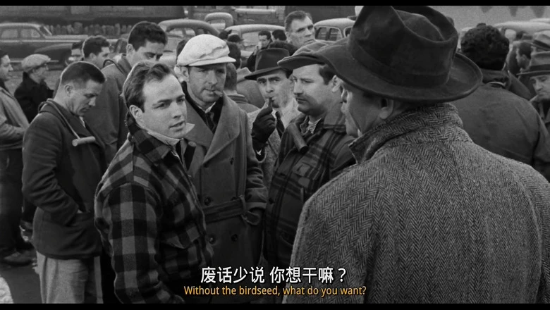 视频截图2.webp