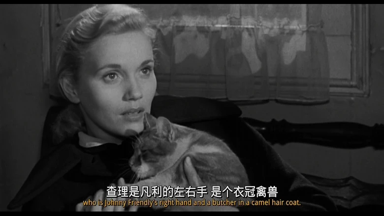 视频截图3.webp