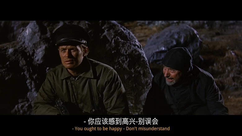 视频截图.webp